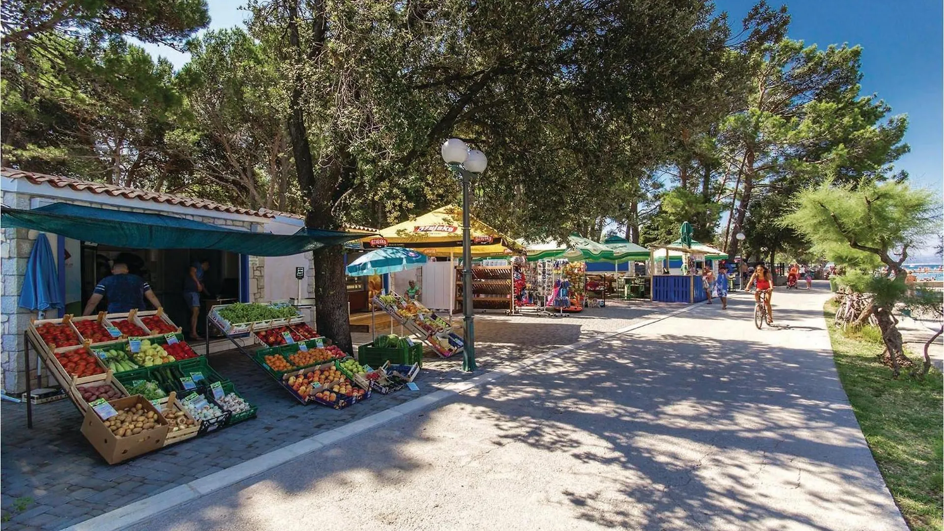 Nice Apartment In Punat With Wifi Croatia
